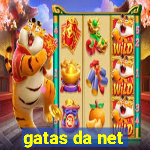 gatas da net